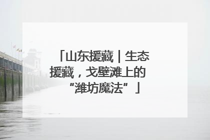 山东援藏｜生态援藏，戈壁滩上的“潍坊魔法”