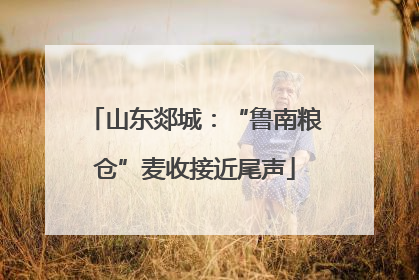 山东郯城：“鲁南粮仓”麦收接近尾声