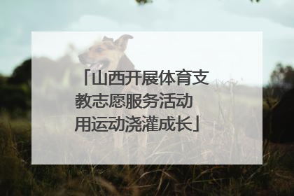 山西开展体育支教志愿服务活动 用运动浇灌成长