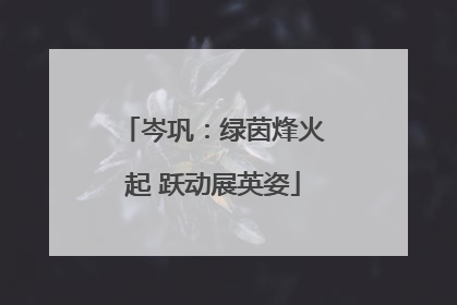 岑巩：绿茵烽火起 跃动展英姿