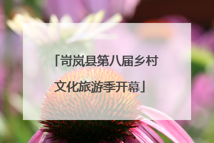 岢岚县第八届乡村文化旅游季开幕