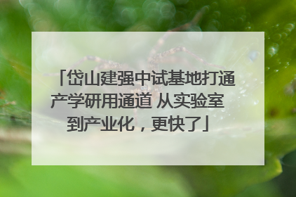 岱山建强中试基地打通产学研用通道 从实验室到产业化，更快了