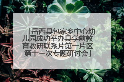 岳西县包家乡中心幼儿园成功举办县学前教育教研联系片第一片区第十三次专题研讨会