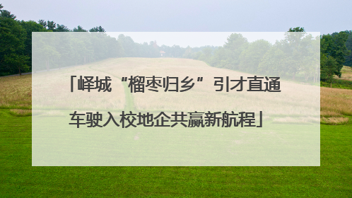 峄城“榴枣归乡”引才直通车驶入校地企共赢新航程