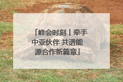峰会时刻丨牵手中亚伙伴 共谱能源合作新篇章
