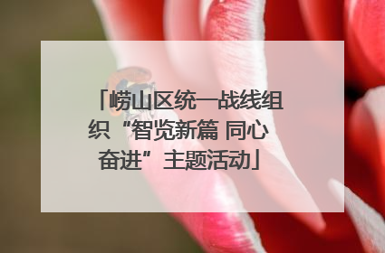 崂山区统一战线组织“智览新篇 同心奋进”主题活动