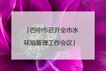 巴中市召开全市水环境管理工作会议