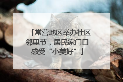 常营地区举办社区邻里节,居民家门口感受“小美好”