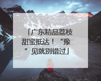 广东精品荔枝甜蜜抵达！“豫”见就别错过