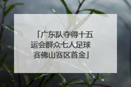广东队夺得十五运会群众七人足球赛佛山赛区首金