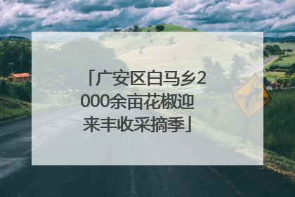 广安区白马乡2000余亩花椒迎来丰收采摘季