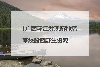 广西环江发现新种疣茎绞股蓝野生资源