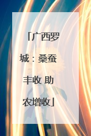 广西罗城：桑蚕丰收 助农增收