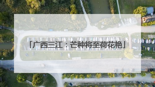 广西三江：芒种将至荷花艳