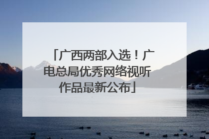 广西两部入选！广电总局优秀网络视听作品最新公布