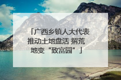 广西乡镇人大代表推动土地盘活 撂荒地变“致富园”