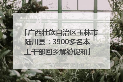 广西壮族自治区玉林市陆川县：3900多名本土干部回乡解纷促和