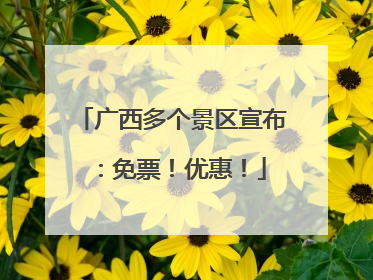 广西多个景区宣布：免票！优惠！