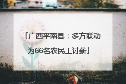 广西平南县：多方联动为66名农民工讨薪