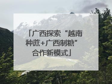广西探索“越南种蔗+广西制糖”合作新模式