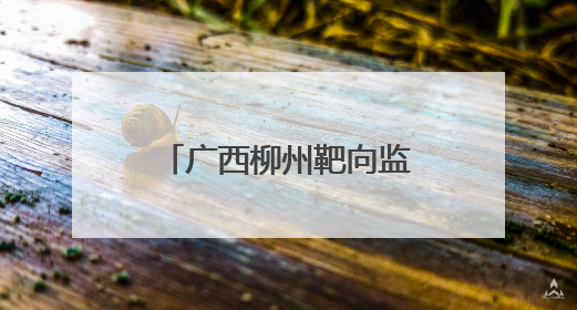 广西柳州靶向监督农村公路建设 推动“问题路”变“幸福路”