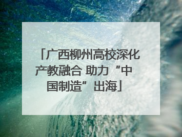 广西柳州高校深化产教融合 助力“中国制造”出海