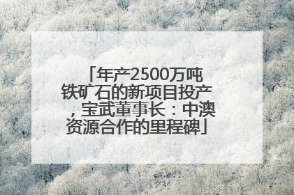 年产2500万吨铁矿石的新项目投产，宝武董事长：中澳资源合作的里程碑