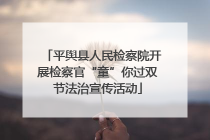 平舆县人民检察院开展检察官“童”你过双节法治宣传活动