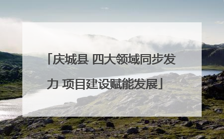 庆城县 四大领域同步发力 项目建设赋能发展