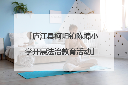 庐江县柯坦镇陈埠小学开展法治教育活动