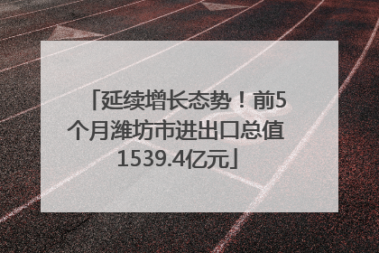 延续增长态势！前5个月潍坊市进出口总值1539.4亿元