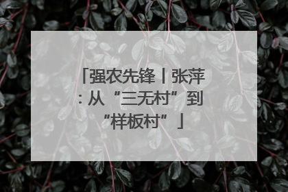 强农先锋丨张萍：从“三无村”到“样板村”