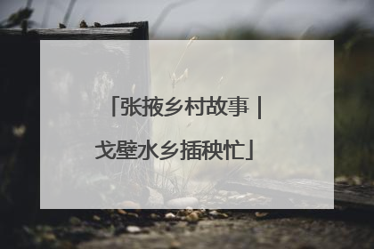张掖乡村故事｜戈壁水乡插秧忙