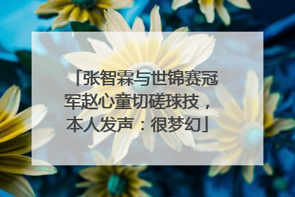 张智霖与世锦赛冠军赵心童切磋球技，本人发声：很梦幻