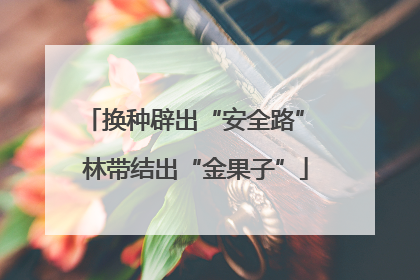 换种辟出“安全路” 林带结出“金果子”