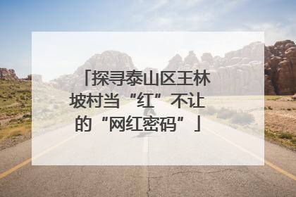 探寻泰山区王林坡村当“红”不让的“网红密码”