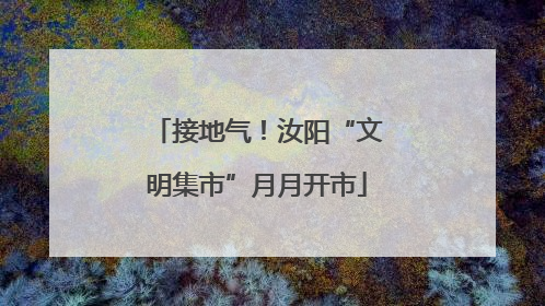 接地气！汝阳“文明集市”月月开市