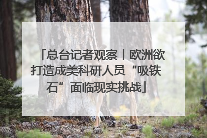 总台记者观察丨欧洲欲打造成美科研人员“吸铁石”面临现实挑战