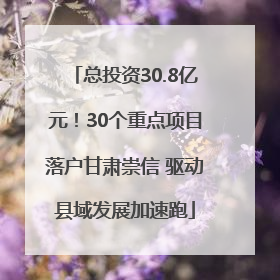 总投资30.8亿元！30个重点项目落户甘肃崇信 驱动县域发展加速跑