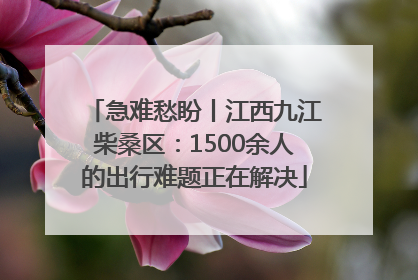 急难愁盼丨江西九江柴桑区：1500余人的出行难题正在解决