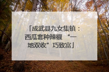 成武县九女集镇：西瓜套种辣椒 “一地双收”巧致富