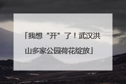 我想“开”了！武汉洪山多家公园荷花绽放