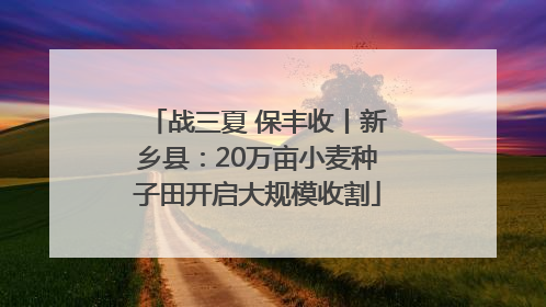 战三夏 保丰收丨新乡县：20万亩小麦种子田开启大规模收割