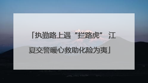 执勤路上遇“拦路虎” 江夏交警暖心救助化险为夷