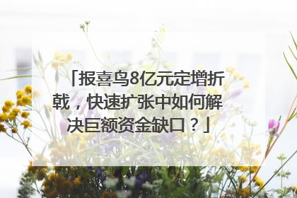 报喜鸟8亿元定增折戟，快速扩张中如何解决巨额资金缺口？