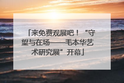 来免费观展吧！“守望与在场——毛本华艺术研究展”开幕
