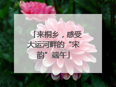 来桐乡，感受大运河畔的“宋韵”端午