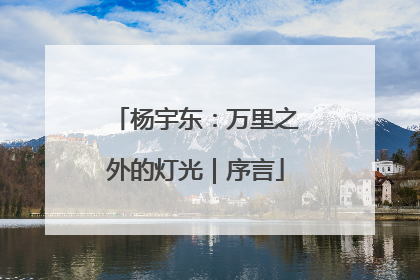 杨宇东：万里之外的灯光｜序言