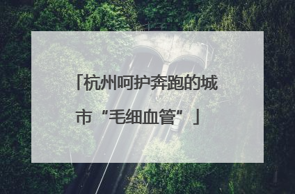 杭州呵护奔跑的城市“毛细血管”