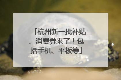 杭州新一批补贴、消费券来了！包括手机、平板等